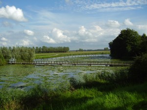 Wiericker Schans 060